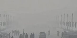 دہلی اور این سی آر میں سردی کی لہر کا ستم جاری
