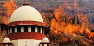 فضائی آلودگی پر اعلیٰ سطحی میٹنگ، پنجاب میں پرالی جلانے پر فوری پابندی عائد کرنے کی ہدایات
