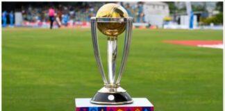 کرکٹ ورلڈ کپ فائنل میں فاتح ٹیم کو کتنی رقم ملے گی؟
