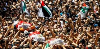 دہشت گرد اسرائیل کے حملوں میں 29 ہزار فلسطینی شہید